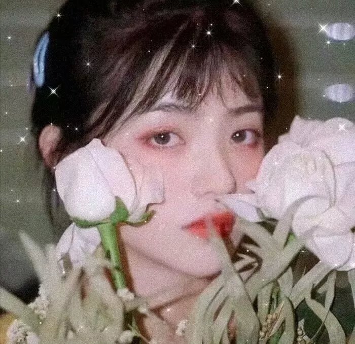 抗体