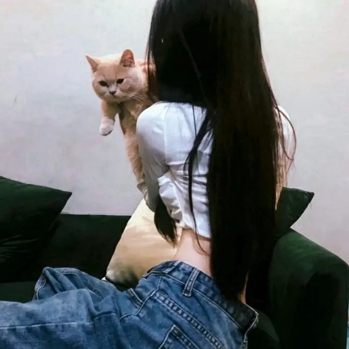 性、谋杀、摄影机
